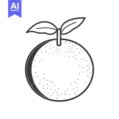 Popular premium asset: Simple black and white drawing of a fresh citrus fruit