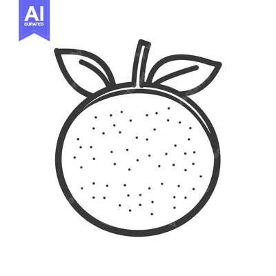 Aset desain premium: A simple black and white illustration of a citrus fruit with leaves