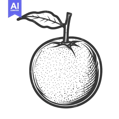 A monochrome illustration of an orange fruit and a leafy stem