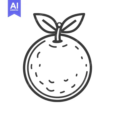 Aset premium populer: A simplistic black line art illustration of a citrus fruit