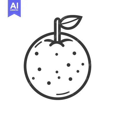 A simple black line drawing of a fresh fruit orange