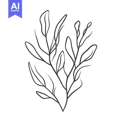 Popular premium asset: Simple black and white illustration of leafy botanical stems
