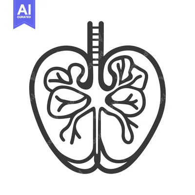 Aset desain premium: A black and white illustration representing human lungs anatomy