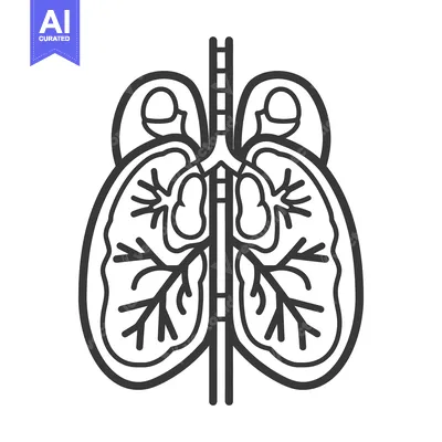 Popular premium asset: A simple black and white illustration depicting the human respiratory