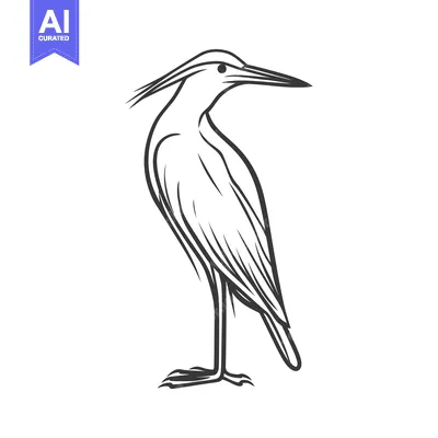 Aset premium populer: A standing bird illustration drawn with fine simple black lines