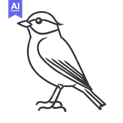 Aset premium populer: A simple minimalist outline drawing of a small bird