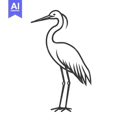 A stylized illustration depicts a single bird standing upright