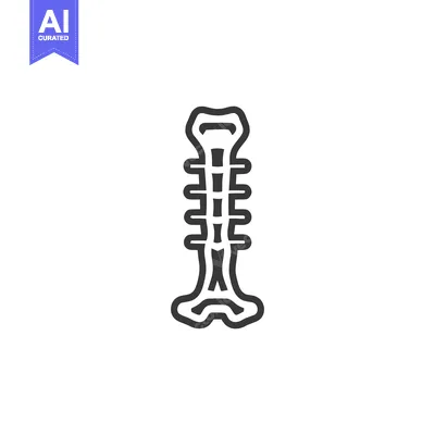 Aset desain premium: Stylized Vertebral Column Icon: Anatomical Outline on White Background