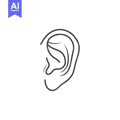 Premium design asset: Outline drawing of a human ear in profile view
