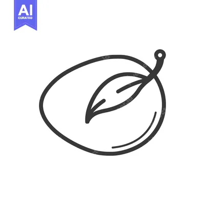Aset premium populer: Outline drawing of a plum with a leaf