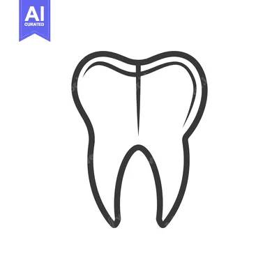 Outline drawing of a single human tooth