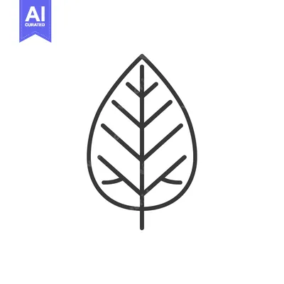 Popular premium asset: Outline drawing of a single leaf with veins