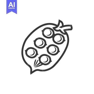 Outline Drawing of a Single Pea Pod with Seven Peas
