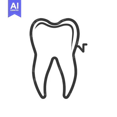 Outline Drawing of a Single Tooth