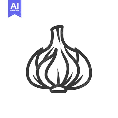 Outline drawing of a single whole garlic bulb