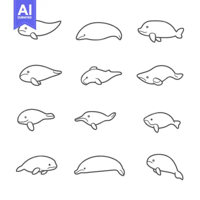 Outline Drawings of Different Types of Dolphins