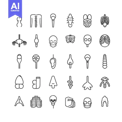 Outline Icons of Human Anatomical Structures