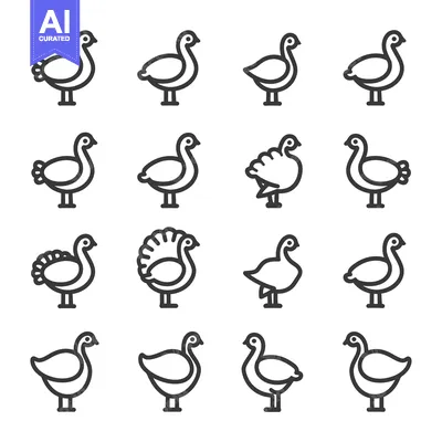 Aset premium populer: Outline Icons of Various Turkey Breeds