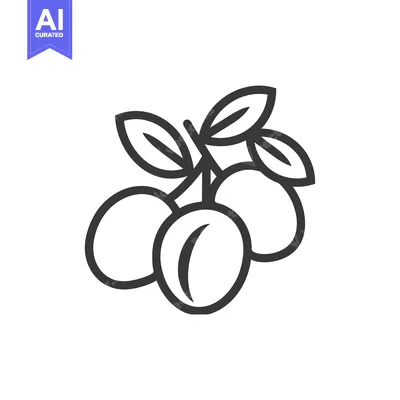 Aset premium populer: Outline Illustration of a Branch of Plums with Leaves