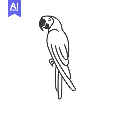 Outline Illustration of a Parrot with a Curved Beak