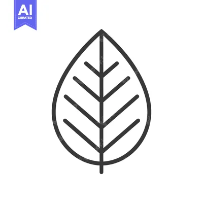 Outline Illustration of a Simple Leaf with Veins