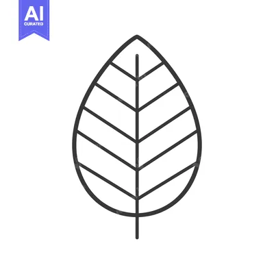 Outline Illustration of a Single Leaf with Veins