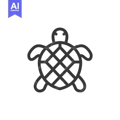 Outline Illustration of a Turtle with a Patterned Shell