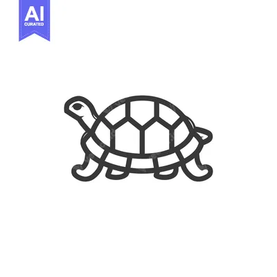 Outline Illustration of a Turtle with a Shell