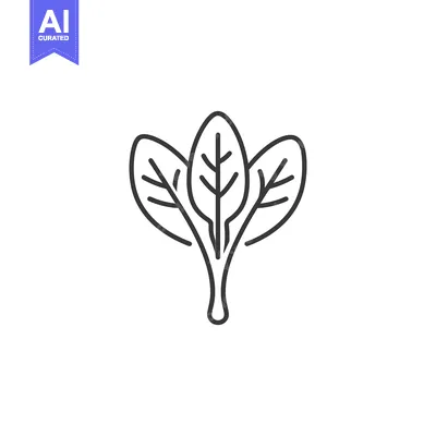 Popular premium asset: Outline Illustration of Three Spinach Leaves with a Stem