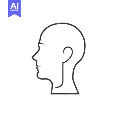 Premium design asset: Outline of a Bald Human Head in Profile