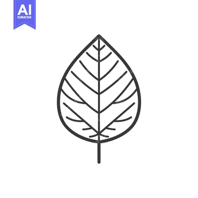 Premium design asset: Outline of a Leaf with Detailed Veins