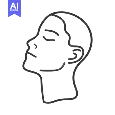 Aset premium populer: An abstract line drawing depicting a human face in profile