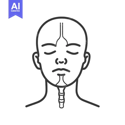 Aset desain premium: Simplified monochrome illustration of a human head and throat
