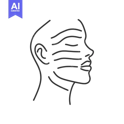 Popular premium asset: A simple line drawing portraying the side profile of a face