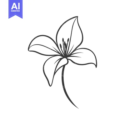 Aset premium populer: A simple black and white line art of a single flower