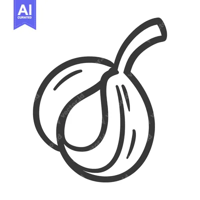 Aset desain premium: A black and white illustration of a single fig fruit
