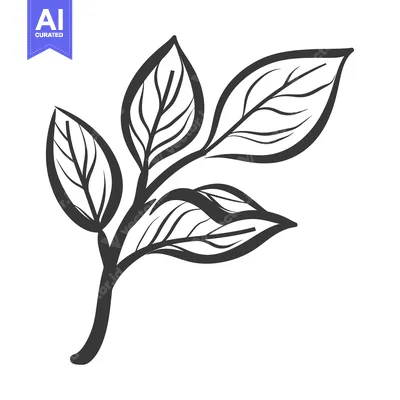 Aset premium populer: Simple grayscale illustration of a branch with several leaves shown