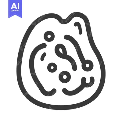Abstract graphical representation of a biological cellular organism
