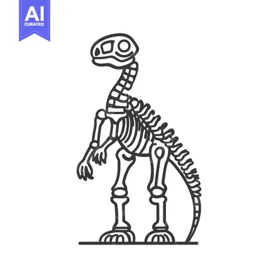Aset desain premium: An outline drawing depicting a dinosaur skeleton standing proudly