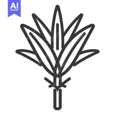 Popular premium asset: A simple symmetrical illustration of a plant with sharp leaves