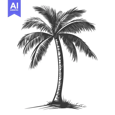 Aset desain premium: A black and white illustration of a tropical palm tree
