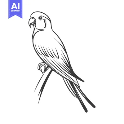 Detailed black and white sketch of a parrot perched on a branch