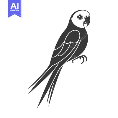 Premium design asset: Black and white depiction of a perched parrot on a white background