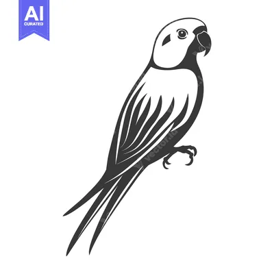 Aset premium populer: A stylized black and white illustration of a perched parrot