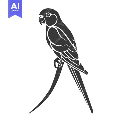 Aset premium populer: An artistic illustration depicting a bird perching on a curved branch