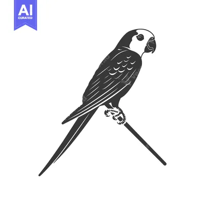 Popular premium asset: A stylized black and white parrot perched upon a branch