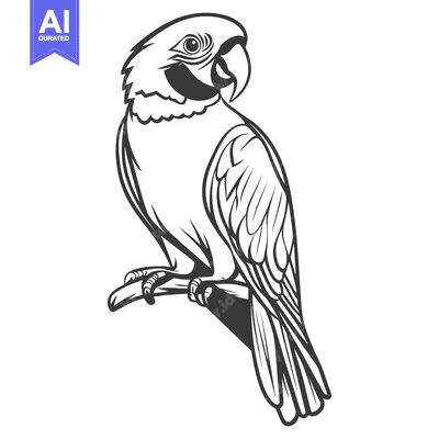 Aset desain premium: A black and white illustration of a parrot perched on a branch