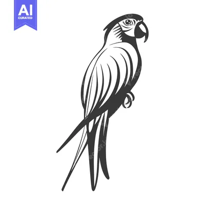 Popular premium asset: A stylized monochrome illustration of a perched parrot bird