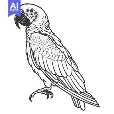 Aset premium populer: A detailed black and white illustration of a parrot bird