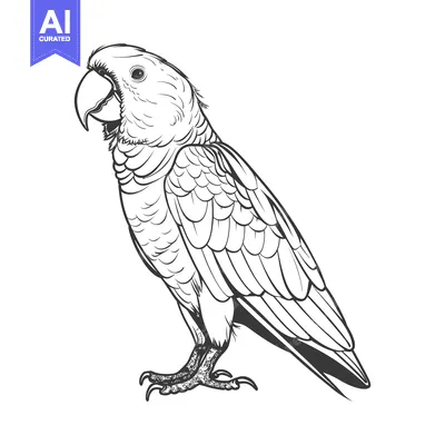 Detailed grayscale artwork depicting a parrot bird against a white bac